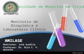 AMILASE Monitores: José Aurélio Professor: Dr. Nilo C. V. Baracho Faculdade de Medicina de Itajubá Monitoria de Bioquímica e Laboratório Clínico.