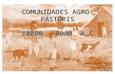 COMUNIDADES AGRO-PASTORIS 10000 – 8000 A.C COMUNIDADES AGRO-PASTORIS 10000 – 8000 A.C HGP- 5º Ano DAVID OLIVEIRA PRETO 5ºD, Nº6 2013/10/20.