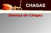 Doença de Chagas. Doença de Chagas História Múmia da América do Sul: Cardiomegalia por Cardiomegalia por Doença de Chagas.