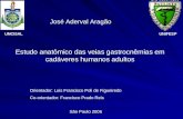 UNCISAL José Aderval Aragão São Paulo 2006 Estudo anatômico das veias gastrocnêmias em cadáveres humanos adultos UNIFESP Orientador: Luis Francisco Poli.