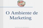 O Ambiente de Marketing Copyright © 2002-2014 Laury A. Bueno – Administração Mercadológica MKT.