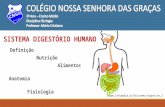 Definição Nutrição Alimentos Anatomia Fisiologia sistema-digestivo,2 SISTEMA DIGESTÓRIO HUMANO.