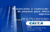 SIMBRACS Brasília, 12 de novembro de 2013 Alavancando a transição: de pequena para média empresa Aspectos sobre o desenvolvimento, necessidade de apoio,