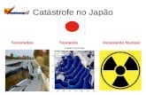 Catástrofe no Japão Terremotos Tsunamis Vazamento Nuclear.