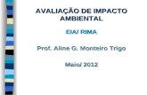 AVALIAÇÃO DE IMPACTO AMBIENTAL EIA/ RIMA Prof. Aline G. Monteiro Trigo Maio/ 2012.