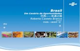 Brasil Um Cenário de Oportunidades Roberto Castelo Branco Diretoria - -
