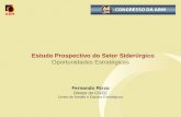 Estudo Prospectivo do Setor Siderúrgico Oportunidades Estratégicas Fernando Rizzo Diretor do CGEE Centro de Gestão e Estudos Estratégicos.