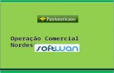 Operação Comercial Nordeste. Objetivo Produtos PanAmericano Estrutura Modelo Comercial Vendas Investimentos Por que ? Fatores de Sucesso Apresentação.