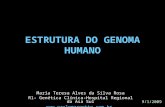 ESTRUTURA DO GENOMA HUMANO Maria Teresa Alves da Silva Rosa R1- Genética Clínica-Hospital Regional da Asa Sul  9/1/2009.