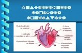 Insuficiência cardíaca congestiva. Introdução b O coração é um músculo com papel de bomba vital, já que assegura oxigenação dos diferentes órgãos e tecidos.