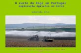 O custo da Rega em Portugal Exploração Agrícola em Elvas Gabriela Cruz Seminário " Rega dos Cereais Praganosos" Abril 2010, Elvas1.