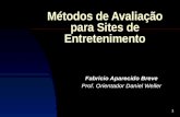 1 Métodos de Avaliação para Sites de Entretenimento Fabricio Aparecido Breve Prof. Orientador Daniel Weller.