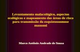 Levantamento malacológico, aspectos ecológicos e mapeamento das áreas de risco para transmissão da esquistossomose mansoni Marco Antônio Andrade de Souza.