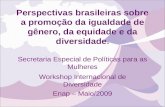 Perspectivas brasileiras sobre a promoção da igualdade de gênero, da equidade e da diversidade. Secretaria Especial de Políticas para as Mulheres Workshop.