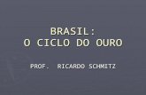 BRASIL: O CICLO DO OURO PROF. RICARDO SCHMITZ. PORTUGAL : SÉCULO XVIII VIDA ECONÔMICA DA COLÔNIA CENTRADA NO NORDESTE = CANA-DE-AÇÚCAR VIDA ECONÔMICA.