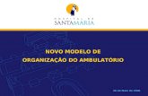 NOVO MODELO DE ORGANIZAÇÃO DO AMBULATÓRIO 30 de Maio de 2006.