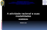 A atividade racional e suas modalidades ACADÊMICOS: Rafael Luis.