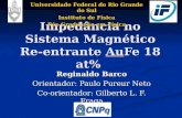 Impedância no Sistema Magnético Re-entrante AuFe 18 at% Reginaldo Barco Orientador: Paulo Pureur Neto Co-orientador: Gilberto L. F. Fraga Universidade.