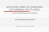 AFECÇÕES NÃO ULCERATIVAS DA CÓRNEA EM FELINOS V Ciclo de Oftalmologia da ANCLIVEPA-SP Silvia Regina Godoy Bello São Paulo – Novembro / 2010.