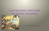 A ESCRAVIDÃO AFRICANA NO BRASIL COLONIAL Prof. Alessandro Hack.