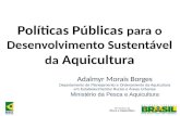 Adalmyr Morais Borges Departamento de Planejamento e Ordenamento da Aquicultura em Estabelecimentos Rurais e Áreas Urbanas Ministério da Pesca e Aquicultura.