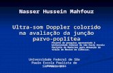 Nasser Hussein Mahfouz Ultra-som Doppler colorido na avaliação da junção parvo-poplítea Universidade Federal de São Paulo Escola Paulista de Medicina São.