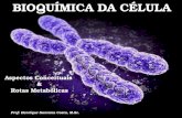 Aspectos Conceituais & Rotas Metabólicas Prof. Henrique Santana Costa, M.Sc. BIOQUÍMICA DA CÉLULA.