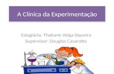 A Clínica da Experimentação Estagiária: Thatiane Veiga Siqueira Supervisor: Douglas Casarotto.