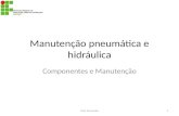 Manutenção pneumática e hidráulica Componentes e Manutenção Prof. Fernando1.