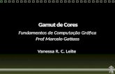 Fundamentos de Computação Gráfica Prof Marcelo Gattass Vanessa R. C. Leite.