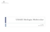 UBAIII Biologia Molecular 1º Ano 2012/2013. 18/out/2012MJC-T04 Sumário: Capítulo V. Síntese e processamento do RNA mensageiro. Maquinaria celular necessária.