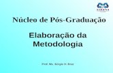 Núcleo de Pós-Graduação Elaboração da Metodologia Prof. Ms. Sérgio H. Braz.