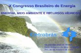 Eletrobrás SILVIA HELENA M. PIRES Departamento de Meio Ambiente Rio, 28 de outubro de 2004 X Congresso Brasileiro de Energia ENERGIA, MEIO AMBIENTE E RECURSOS.