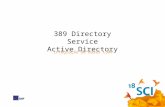 389 Directory Service Active Directory Integração de bases LDAP.