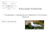 Educação Ambiental Finalidades, Categorias de Objetivos e Princípios Básicos Prof. Luiz Penna.