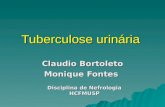Tuberculose urinária Claudio Bortoleto Monique Fontes Disciplina de Nefrologia HCFMUSP.