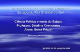 Universidade Regional do Noroeste do Estado do Rio Grande do Sul Ciência Política e teoria do Estado Professor: Dejalma Cremonese Aluna: Sonia Fritsch.