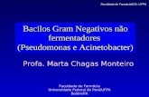 Bacilos Gram Negativos não fermentadores (Pseudomonas e Acinetobacter) Faculdade de Farmácia Universidade Federal do Pará/UFPA Belém/PA Profa. Marta Chagas.