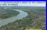 Maranhão A DESERTIFICAÇÃO E MORTE DO RIO PARNAIBA E SEUS AFLUENTES ENGº CID DE CASTRO DIAS.