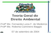 1 Teoria Geral do Direito Ambiental Profª Me. Fernanda Luiza F. de Medeiros Profª Me. Roberta Camineiro Baggio 07 de setembro de 2004.