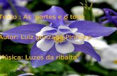 Texto : As partes e o todo Autor: Luiz gonzaga Pinheiro Música: Luzes da ribalta.