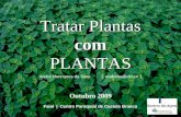 Tratar Plantas com PLANTAS Faial | Centro Paroquial de Castelo Branco André Henriques da Silva [ andrehs@clix.pt ] Outubro 2009.