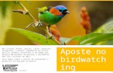 Www.virtude-ag.com Aposte no birdwatching brasileiro Nos Estados Unidos, pescar, caçar, observar, fotografar, e manter comedouros ou sítios para os animais.