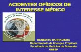 ACIDENTES OFÍDICOS DE INTERESSE MÉDICO BENEDITO BARRAVIERA Departamento de Doenças Tropicais Faculdade de Medicina de Botucatu UNESP BENEDITO BARRAVIERA.