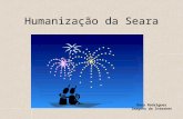 Humanização da Seara Dora Rodrigues Imagens da Internet.