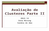 Avaliação de Clusteres Parte II AULA 14 Data Mining Sandra de Amo.