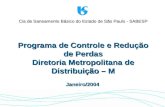 Janeiro/2004 Cia de Saneamento Básico do Estado de São Paulo - SABESP Programa de Controle e Redução de Perdas Diretoria Metropolitana de Distribuição.