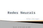 Rafael Lima(ragpl) Recife, 29 de Junho de 2010.  Descrição do problema  Redes Neurais Artificiais  Preparação dos dados  O experimento  Resultados.