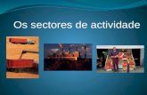 Sector de actividade – Conjunto de actividades que produzem bens ou prestam serviços, a que a população de dedica. Existem três sectores de actividade: