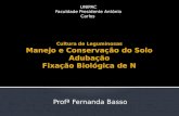 Profª Fernanda Basso UNIPAC Faculdade Presidente Antônio Carlos.
